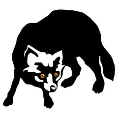 arctic fox (Alopex lagopus) silhouette