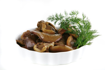 mushrooms on porcelain plates over white