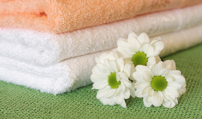 Towels and daisies