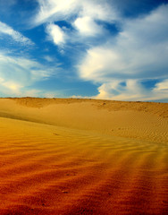 desert landscape