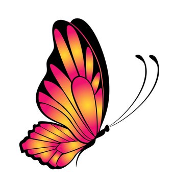 Butterfly. Beautiful abstract  illustration.