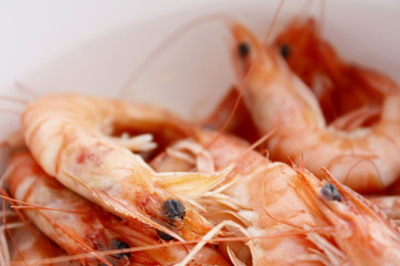 entrée aux crevettes