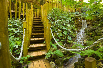 Wooden bridge and little water fall rounded of vegetation