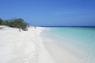 Fototapeta na wymiar white sand blue sea tropical beach