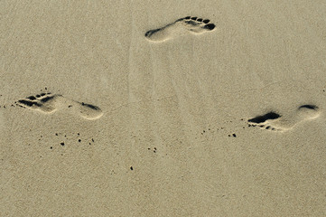 imprint of human feet