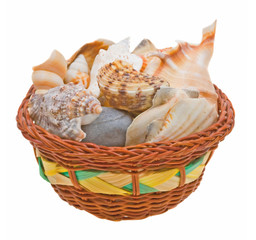 Sea shells in a basket isolated over white