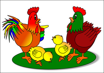 Rooster hen and chicks