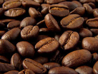 Fototapeta premium coffee beans background