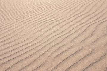 Texture of sand