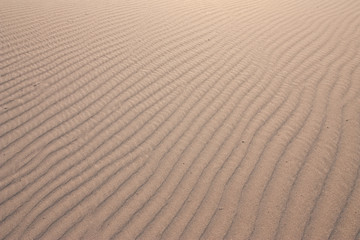Texture of sand