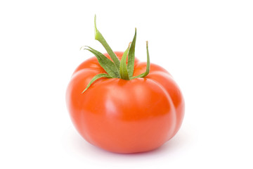 fresh tomato