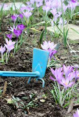 Gartenarbeit