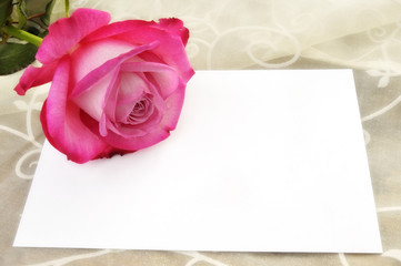 Brief mit Rose