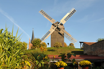 Bockwindm&uuml;hle in Werder (Havel)