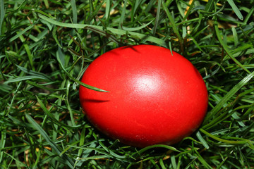 Red Eastern egg