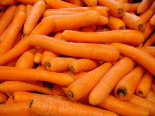 Carottes
