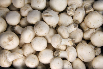 Champignons de Paris