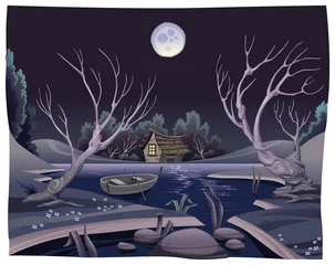 Sierkussen Pond in the night. Funny cartoon and vector illustration © ddraw