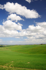 Casciano di Murlo (SI)