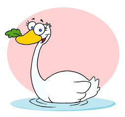 The Seven day of Christmas