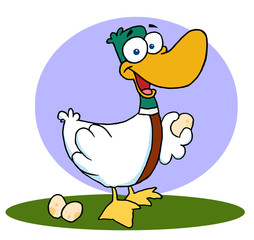 The Six day of Christmas