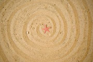 Fototapeta na wymiar Starfish on sand