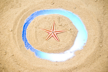Starfish on sand