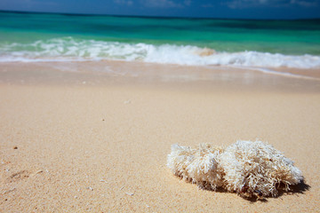 Perfect tropical beach