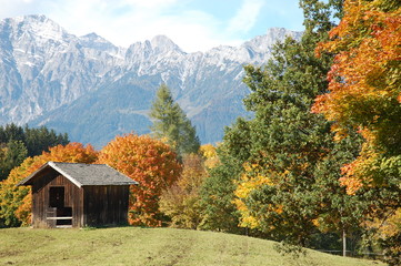 Pinzgauer Alm