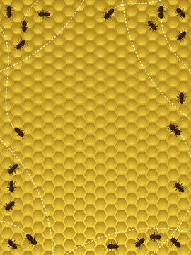 Bee Hive Border