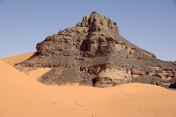 Fototapeta na wymiar Python, Pustyni Libijskiej