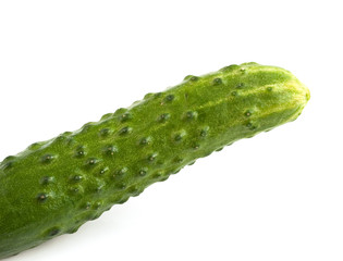 Green fresh cucumber