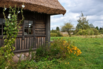 Fototapeta na wymiar The old wooden rural house