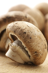 Mushrooms close-up
