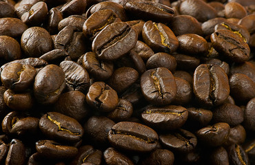 coffee crop close-up