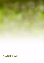 Fond bokeh vert pour affiche publicitaire