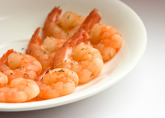 shrimp