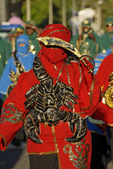Carnaval de Guyane 2010. Grande Parade de Cayenne