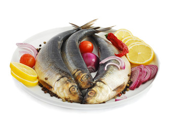 Herring