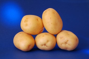 patate 4