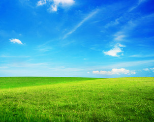Fototapeta na wymiar green field and blue sky