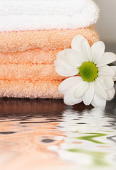 Fototapeta na wymiar Clean towels and daisy