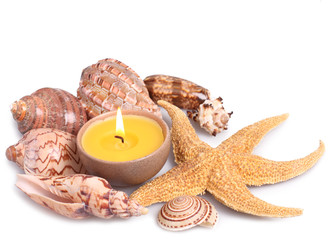 Fototapeta na wymiar Seashells, starfish and candle