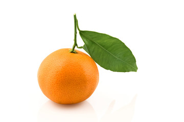 tangerine