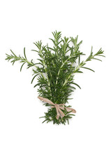 Rosemary
