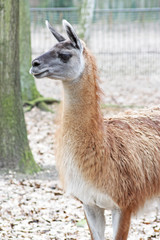 Tierparkbesuch