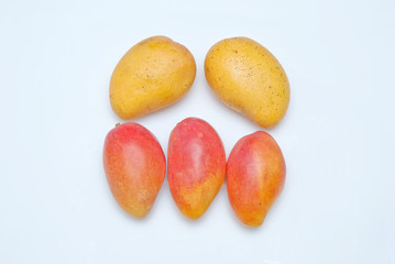 fresh mango fruit