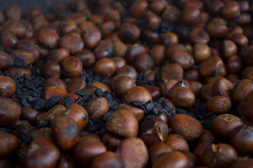 chestnut