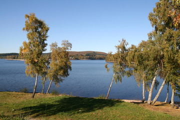lac chambon en automne