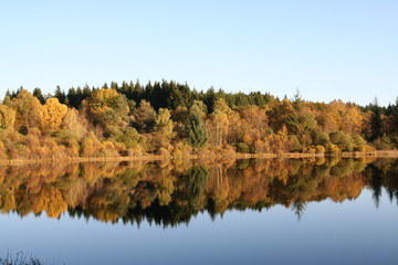 reflet d'arbres dans l'eau en automne